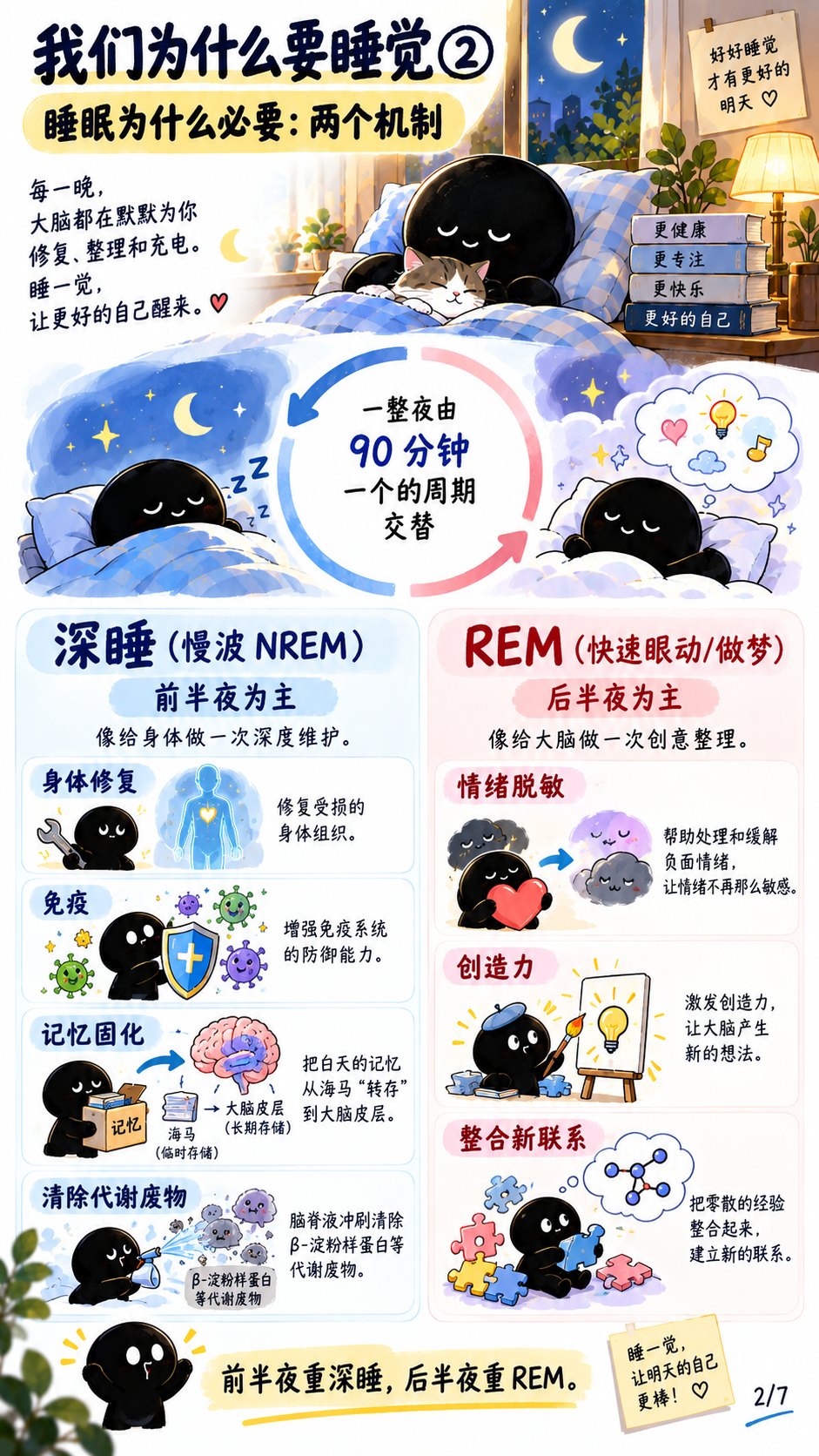 知识卡 7：睡眠为什么必要：深睡与 REM 的分工
